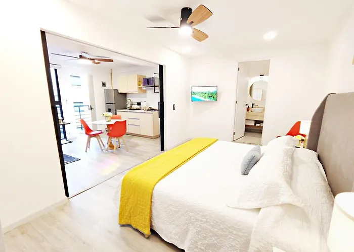 Luz Maria 9 Maiahome Prime Location In Polanco With Terrace Apartment
