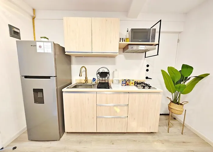 Luz Maria 9 Maiahome Prime Location In Polanco With Terrace Mexico City